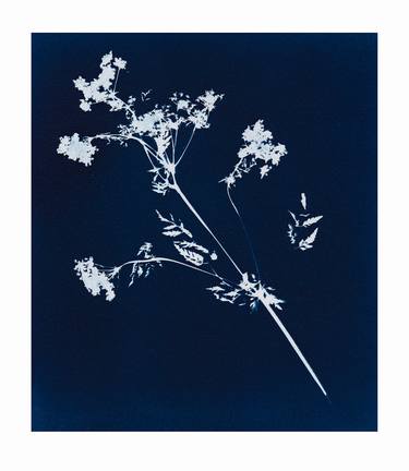 Original Abstract Nature Printmaking by Nat Michele