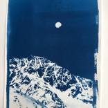 Collection Wander Through the Canvas