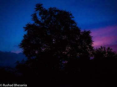 Original Abstract Nature Photography by Rushad Bhesania