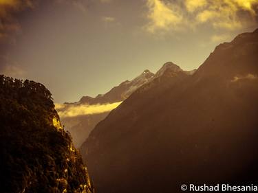 Original Abstract Nature Photography by Rushad Bhesania
