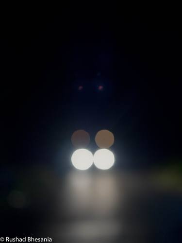 Original Abstract Expressionism Still Life Photography by Rushad Bhesania