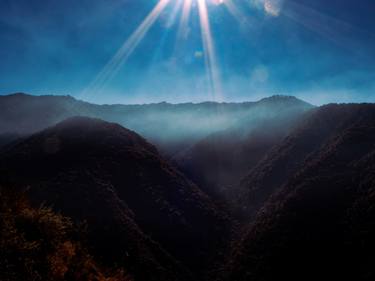 Original Abstract Nature Photography by Rushad Bhesania