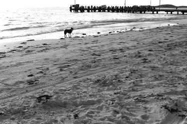 Original Black & White Beach Photography by Rushad Bhesania