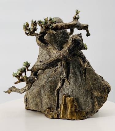 Yama bonsai thumb