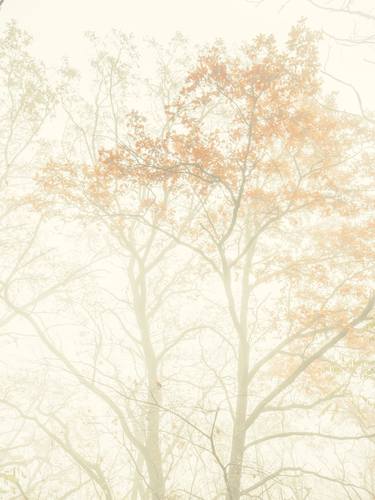 Print of Minimalism Seasons Photography by Larissa Kiria