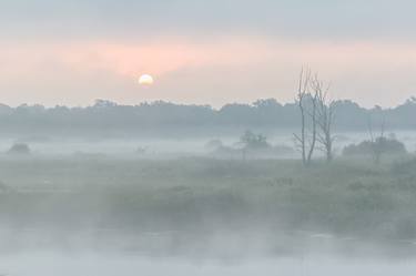 Print of Documentary Landscape Photography by Larissa Kiria