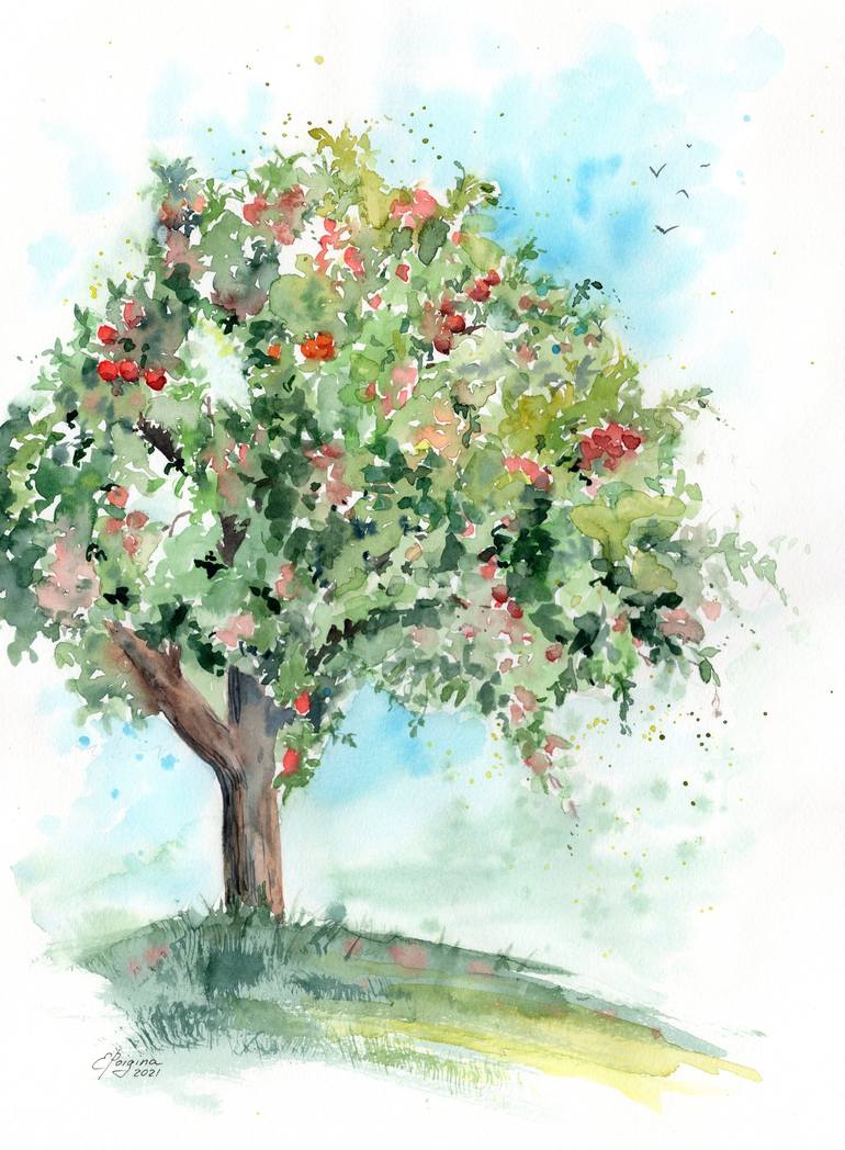 apple tree drawing with color