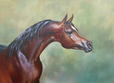 Original Fine Art Horse Paintings by Mariana Baciu