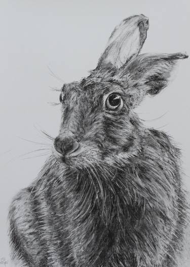 Hare 2 thumb