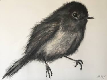 Original Animal Drawing by Jill Meager