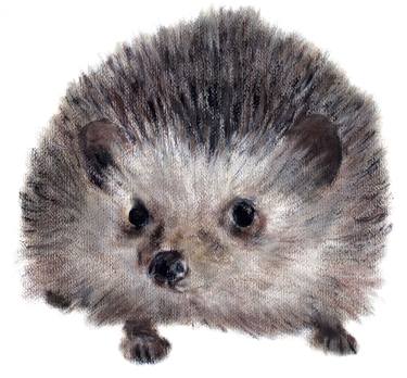 Hedgehog thumb