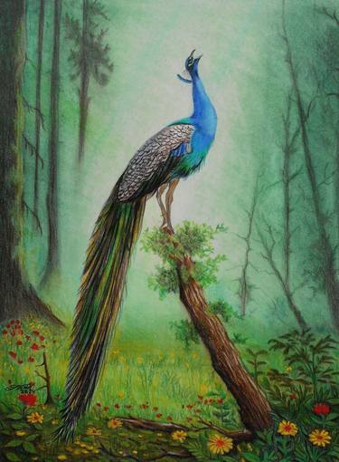 Original Realism Animal Drawing by Taha Mansour