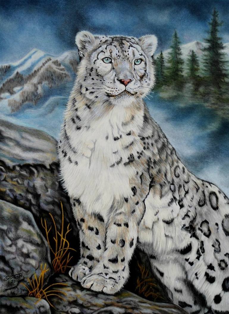 snow leopard drawing
