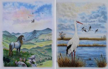 If I could fly i would give you the sky and White Stork (Pair) thumb