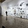 Ovidio e la METAMORFOSI installation 2025 Rome
