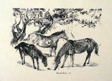 Print of Animal Drawings by Luminita Taranu