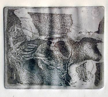 Original Modern Animal Printmaking by Luminita Taranu