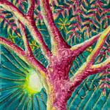 L'identité dans l'arbre 7 by Tiphanie Canada