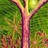 L'identité dans l'arbre 9 by Tiphanie Canada
