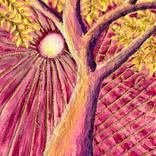 L'identité dans l'arbre 10 by Tiphanie Canada