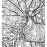 view additional image 1