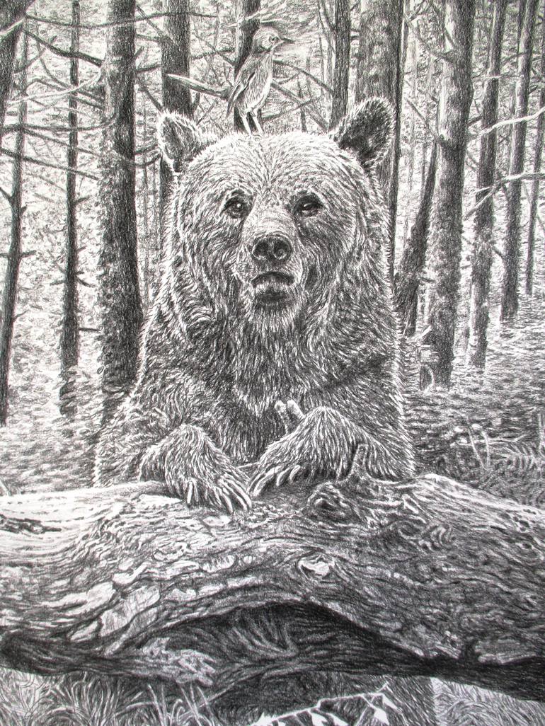 Original Animal Drawing by Frédéric Jammes