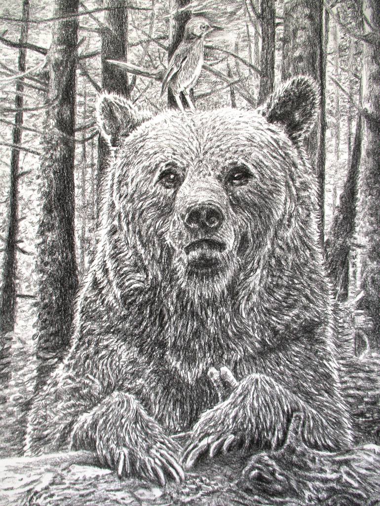 Original Realism Animal Drawing by Frédéric Jammes