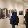 Luminus Eye Gallery 2024