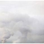 Collection Melbourne Locals