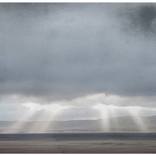 Collection Melbourne Locals