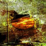 TRANSHUMANISME - Limited Edition 1 of 30 by LUC BOREL