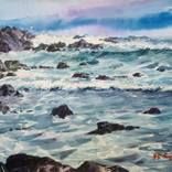 Collection Seashore
