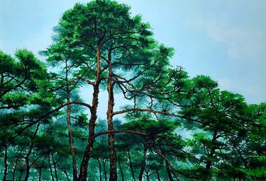 A pine tree in Jangneung thumb