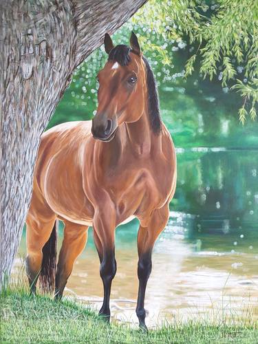 "A silent horse under a tree" thumb