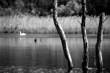 A lake scene thumb