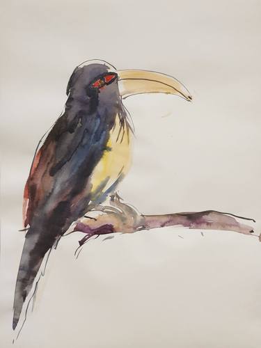 A tropical bird. Tucan. Original watercolor sketch. thumb