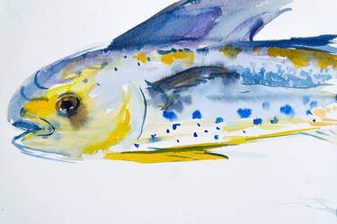 Mahi-mahi fish - colorful watercolor, marine inhabitants thumb