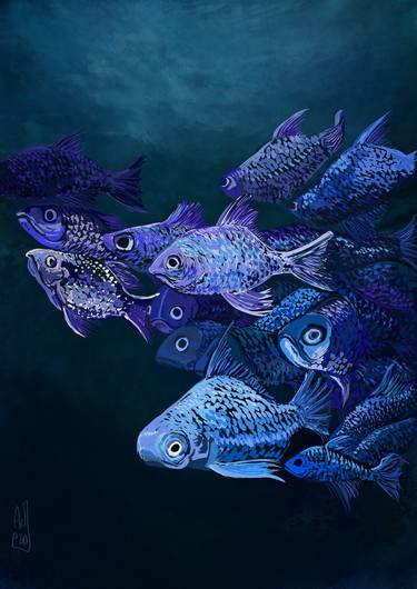 Print of Illustration Fish Digital by Alessandra Dell'Anna Peccarisi