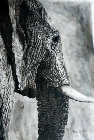 Original Realism Animal Drawings by Kamtoro Okon