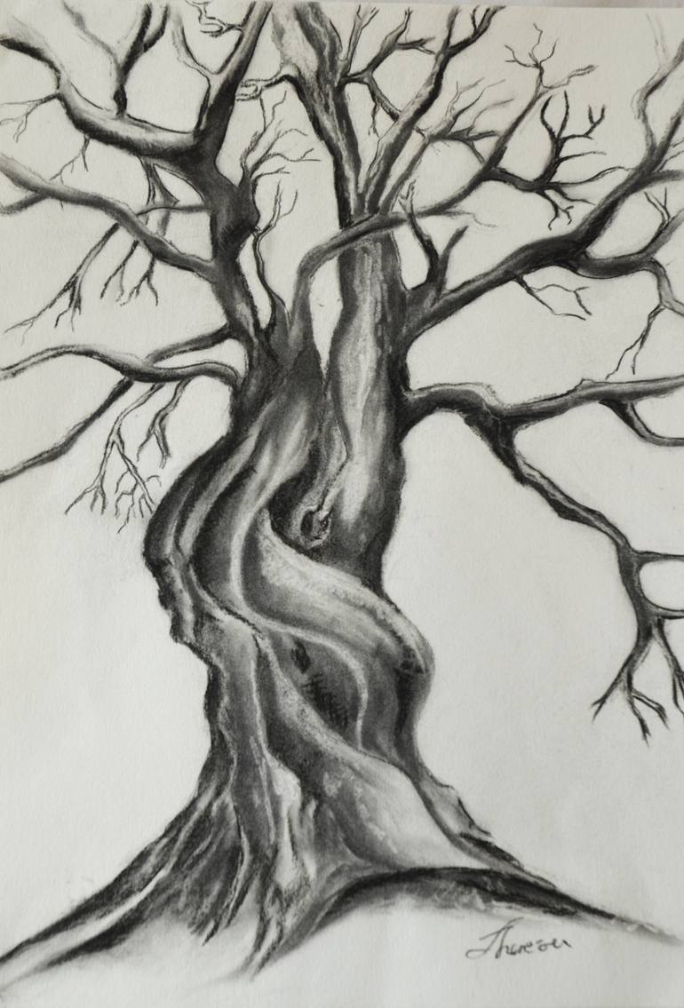 baobab tree drawing