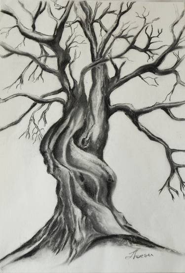 Original Fine Art Tree Drawings by Theresa Thirion