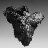 Thisisblackground Mahogany #2 - Limited Edition of 15 by Giovanni Martins