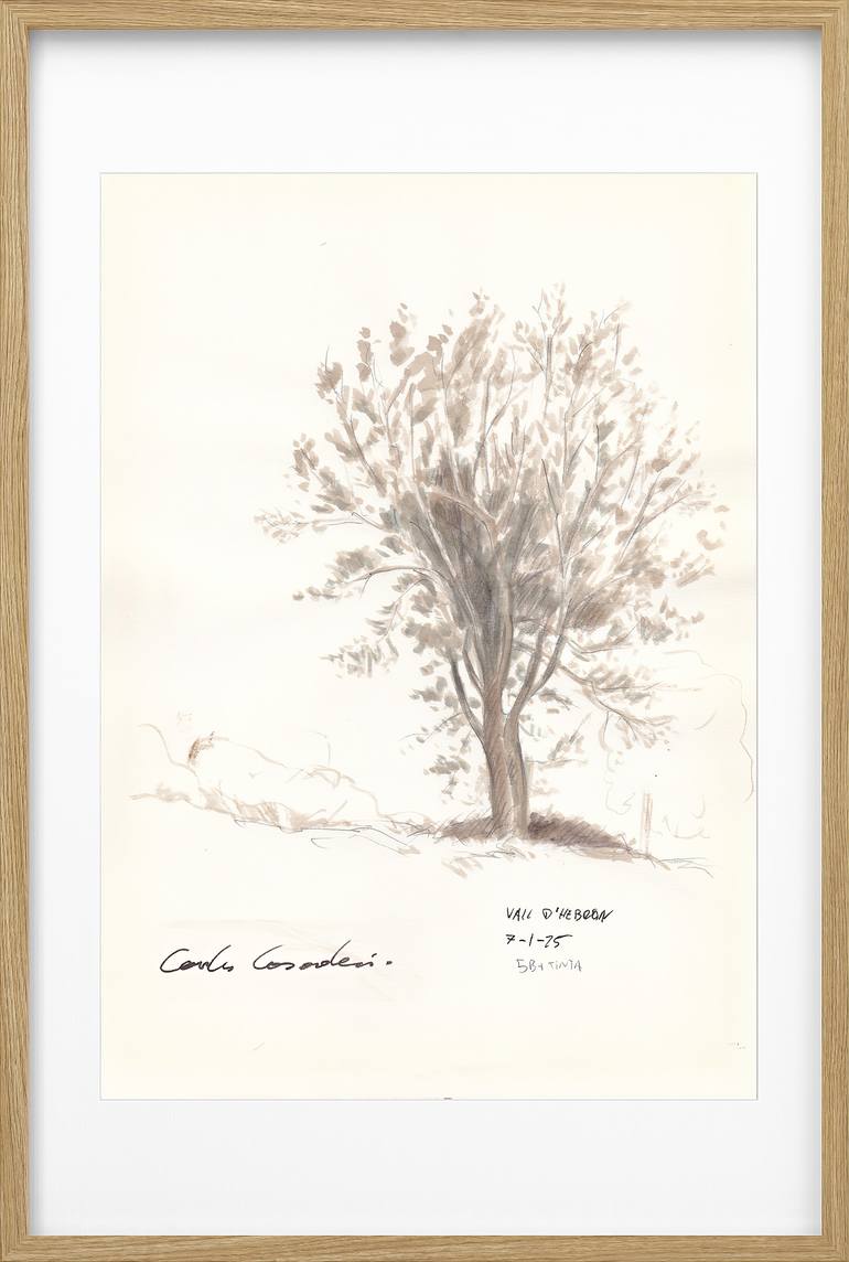 Original Black & White Landscape Drawing by Carlos Casadesus