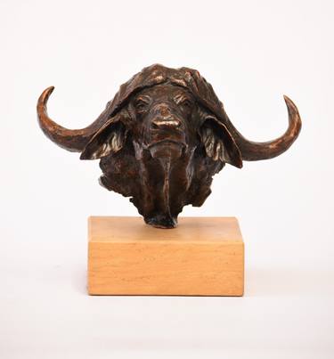 'Sensing Danger' - Buffalo Bust thumb