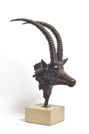 Sable Bust in Bronze - African Antelope Sculpture thumb