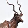 Kudu Bull - close up - detail
