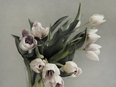 Original Fine Art Floral Photography by Michael Doran