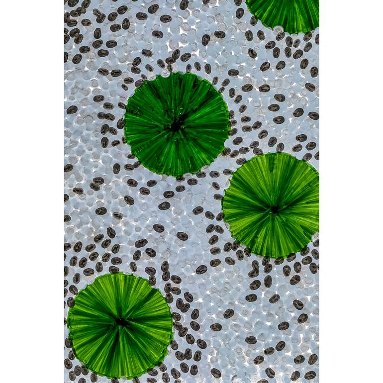 Original Modernism Botanic Drawing by Vladimir Vekhov