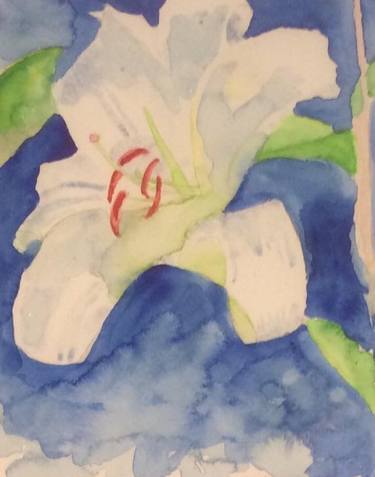 Original Botanic Paintings by Margie Langtip