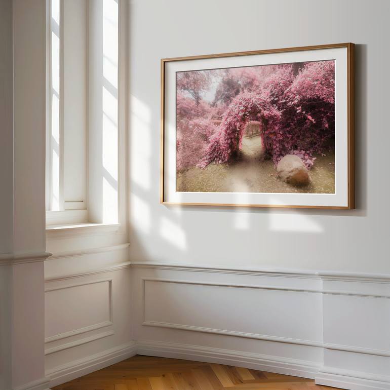 Original Contemporary Nature Photography by Tommy Lei